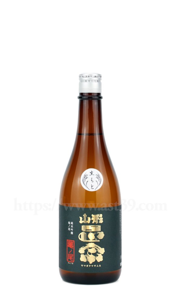 画像1: 【日本酒】 山形正宗 亀ノ尾 純米吟醸 720ml (1)